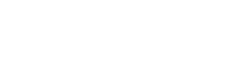 Endocárdio GV